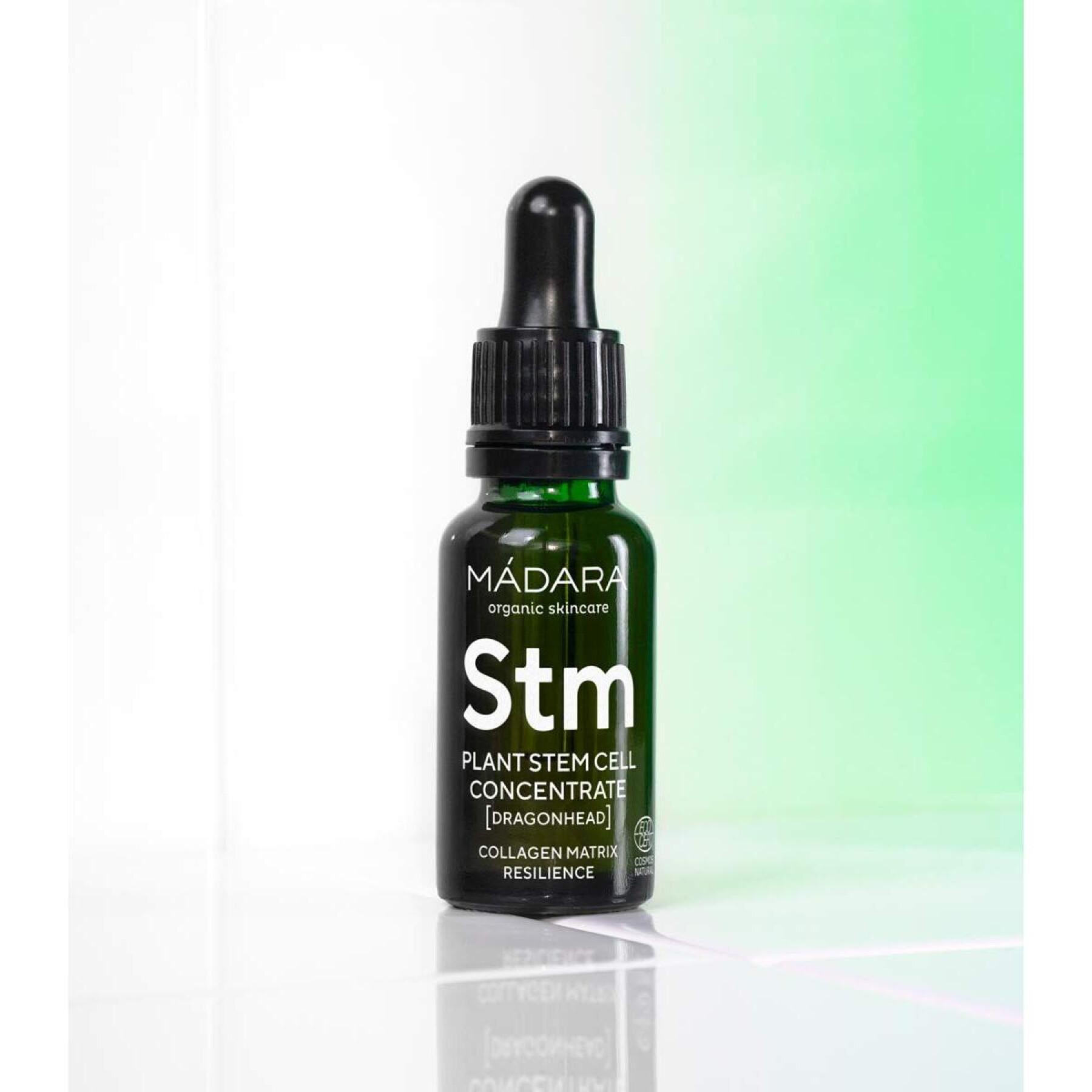 Plant stem cell concentrate Madara 17,5 ml