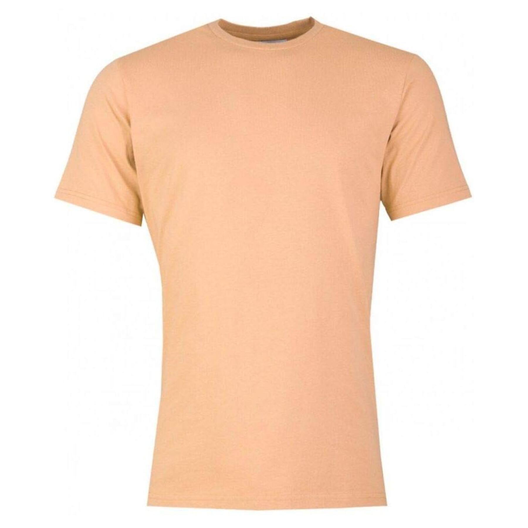 T-shirt Colorful Standard classic organic