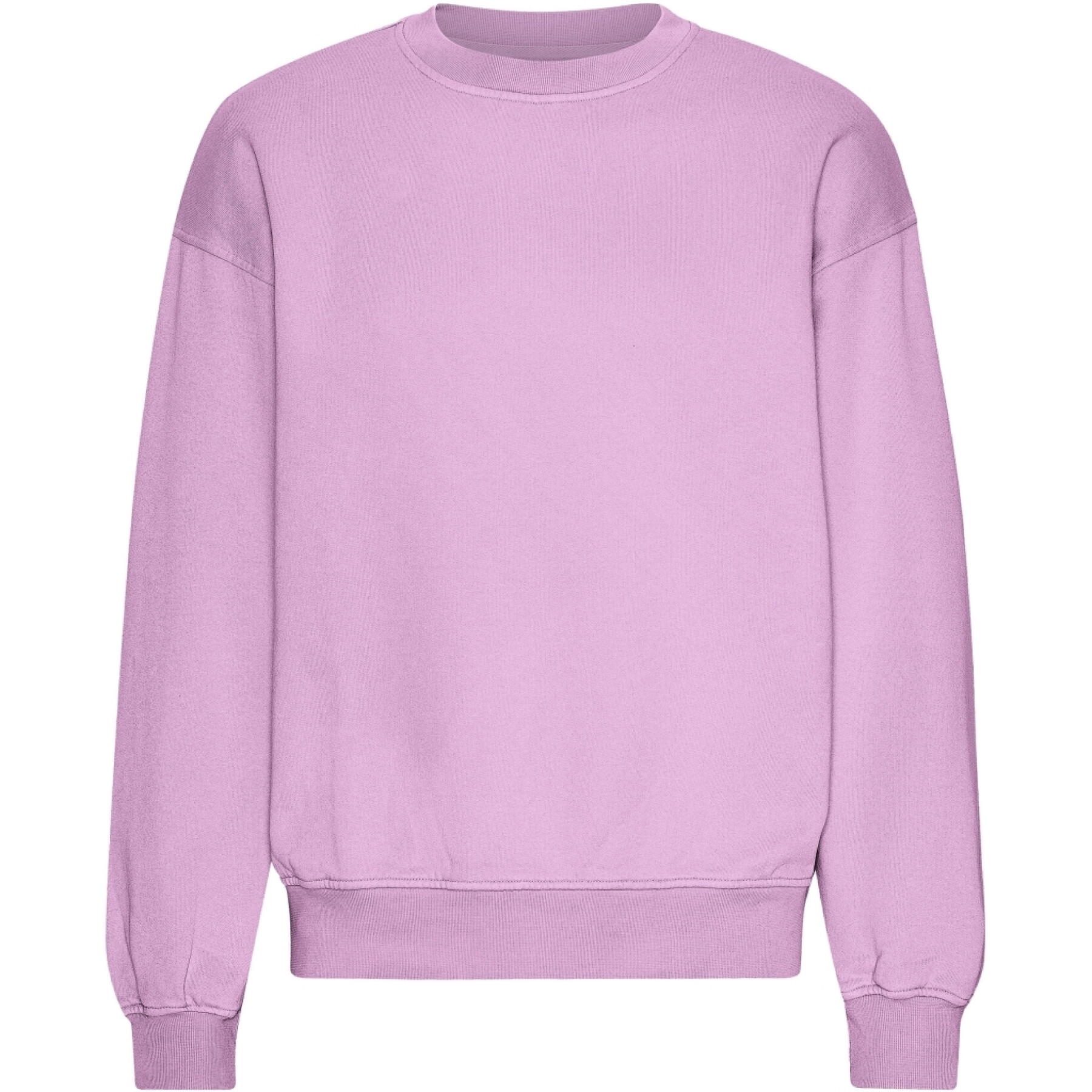 Oversized round-neck sweatshirt Colorful Standard Organic Cherry Blossom