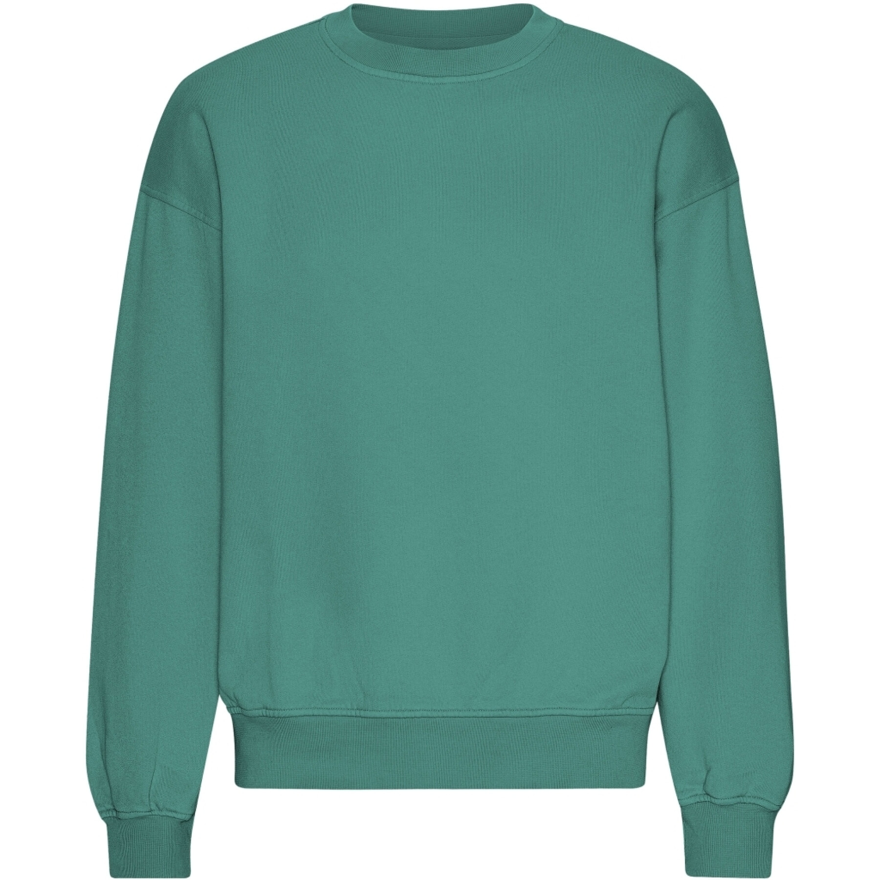Oversized round-neck sweatshirt Colorful Standard Organic Pine Green