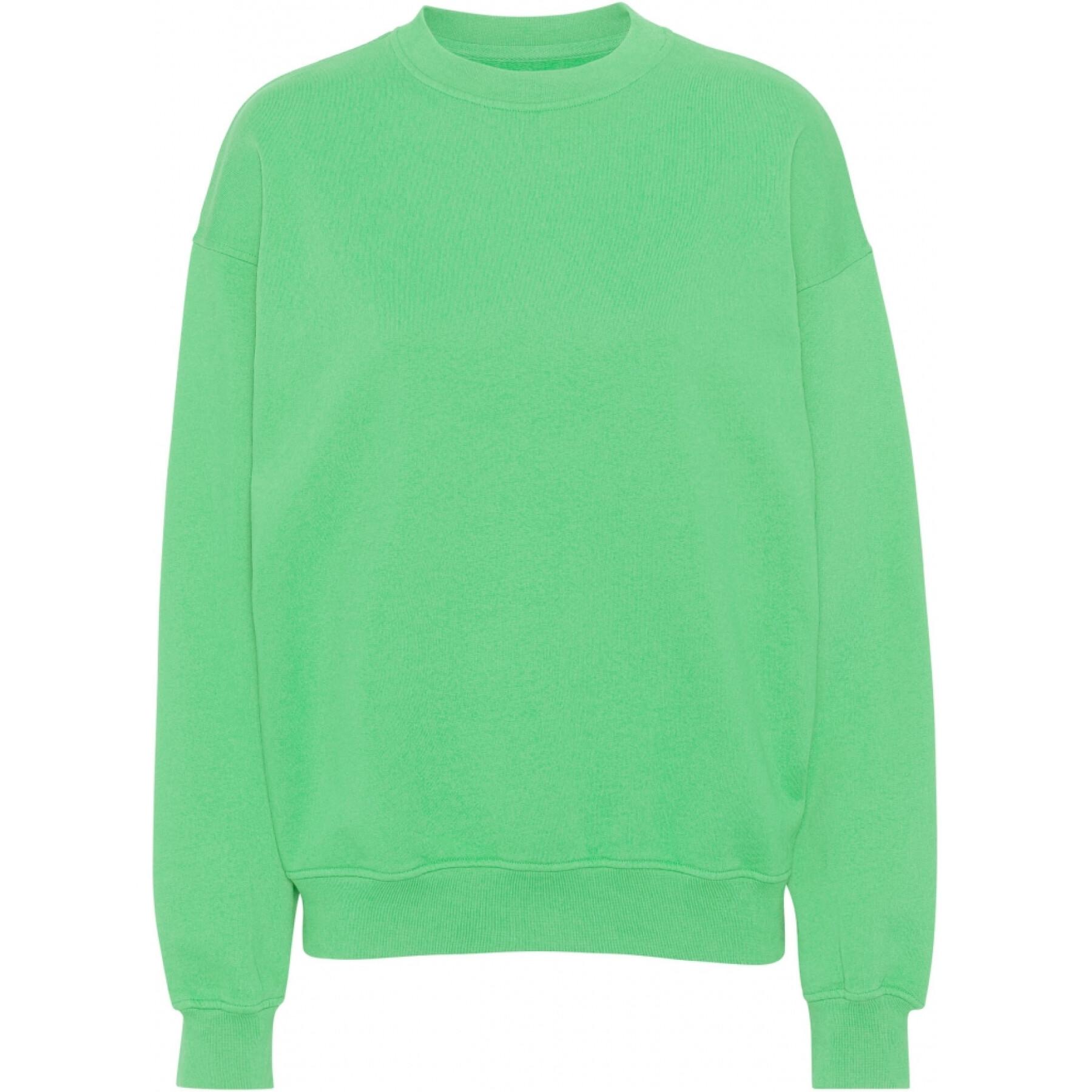 Sweatshirt round neck Colorful Standard Organic oversized spring green