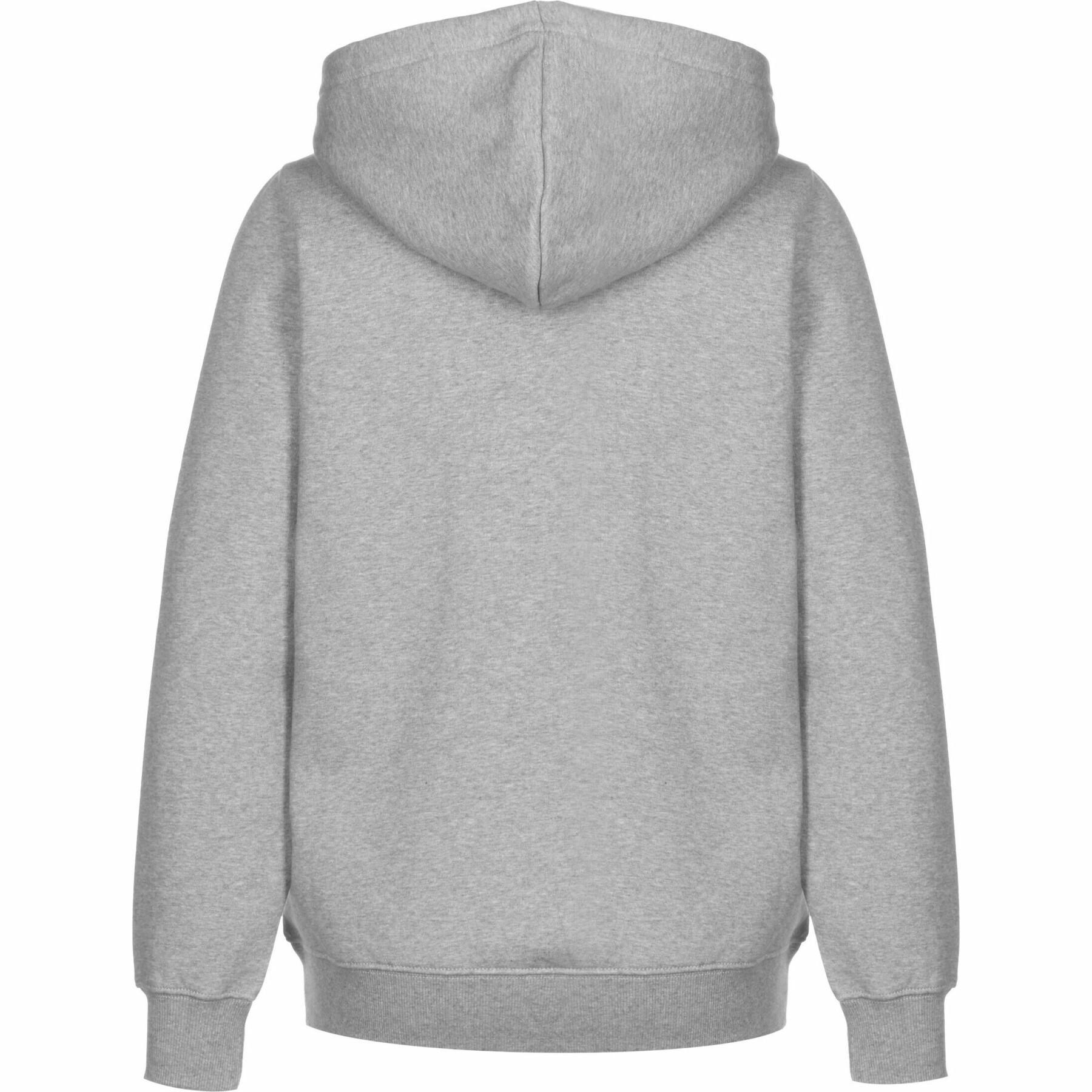 Women's hooded sweatshirt Dickies Icon logo