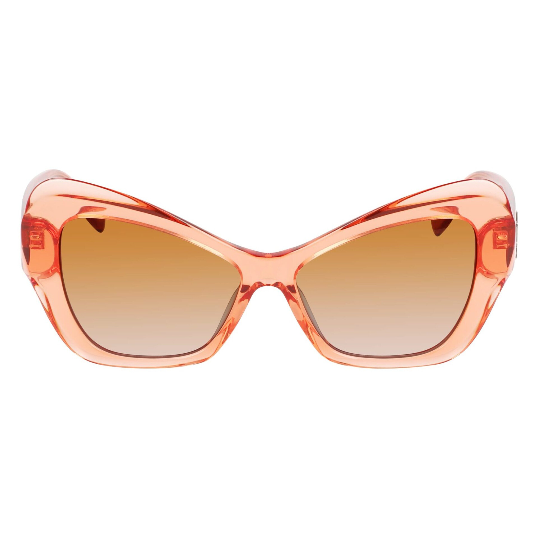 Women's sunglasses Karl Lagerfeld KL6076S800