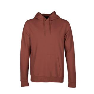Hooded sweatshirt Colorful Standard Classic Organic Cinnamon Brown