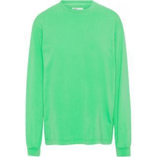Long sleeve T-shirt Colorful Standard Organic oversized spring green