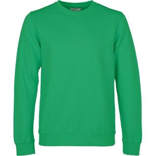 Sweatshirt round neck Colorful Standard Classic Organic kelly green