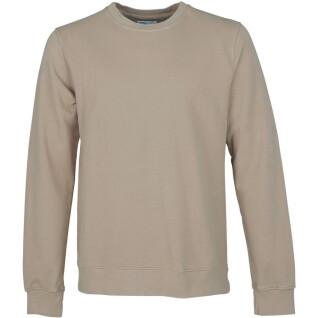 Sweatshirt round neck Colorful Standard Classic Organic oyster grey