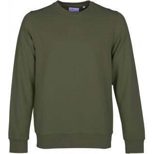 Sweatshirt round neck Colorful Standard Classic Organic seaweed green