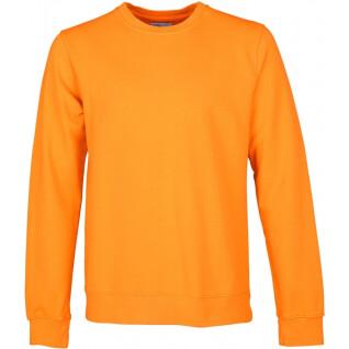 Sweatshirt round neck Colorful Standard Classic Organic sunny orange
