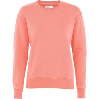 Women's round neck sweater Colorful Standard Classic Organic bright coral