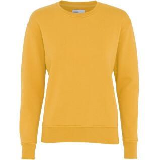 Women's round neck sweater Colorful Standard Classic Organic burned yellow