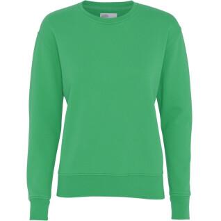 Women's round neck sweater Colorful Standard Classic Organic kelly green