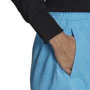 Women's shorts adidas Originals Adicolor Classics