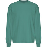 Oversized long-sleeve T-shirt Colorful Standard Organic Pine Green