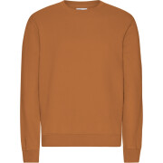 Sweater Colorful Standard Classic Organic Ginger Brown