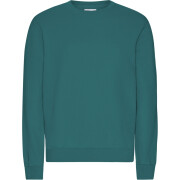Sweater Colorful Standard Classic Organic Ocean Green