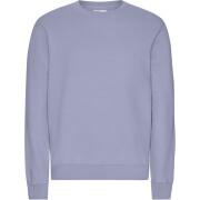 Sweater Colorful Standard Classic Organic Purple Jade