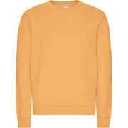 Sweater Colorful Standard Classic Organic Sandstone Orange