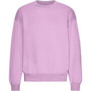 Oversized round-neck sweatshirt Colorful Standard Organic Cherry Blossom