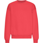 Oversized round-neck sweatshirt Colorful Standard Organic Red Tangerine