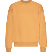 Oversized round-neck sweatshirt Colorful Standard Organic Sandstone Orange