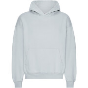 Oversized hooded sweatshirt Colorful Standard Organic Cloudy Grey