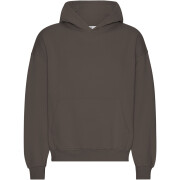 Oversized hooded sweatshirt Colorful Standard Organic Coffee Brown