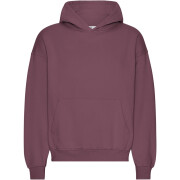Oversized hooded sweatshirt Colorful Standard Organic Dusty Plum