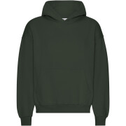 Oversized hooded sweatshirt Colorful Standard Organic Hunter Green
