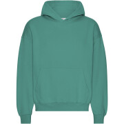 Oversized hooded sweatshirt Colorful Standard Organic Pine Green