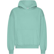 Oversized hooded sweatshirt Colorful Standard Organic Seafoam Green
