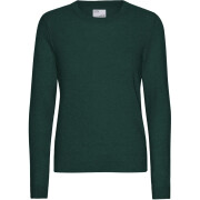 Woman sweater Colorful Standard Emerald Green