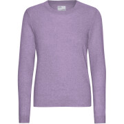 Woman sweater Colorful Standard Purple Haze