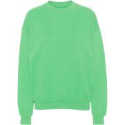 Sweatshirt round neck Colorful Standard Organic oversized spring green