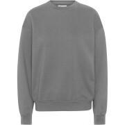 Sweatshirt round neck Colorful Standard Organic oversized storm grey