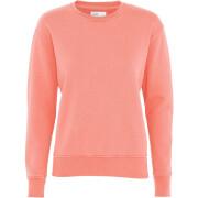 Women's round neck sweater Colorful Standard Classic Organic bright coral