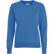 Women's round neck sweater Colorful Standard Classic Organic sky blue