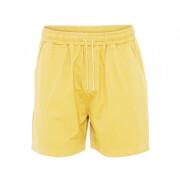 Twill shorts Colorful Standard Organic lemon yellow