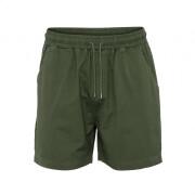 Twill shorts Colorful Standard Organic seaweed green