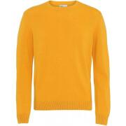 Wool round neck sweater Colorful Standard Classic Merino burned yellow