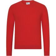 Wool round neck sweater Colorful Standard Light Merino scarlet red