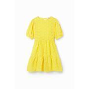 Women's dress Desigual Limon